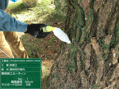 松食い虫防除樹幹注入作業1